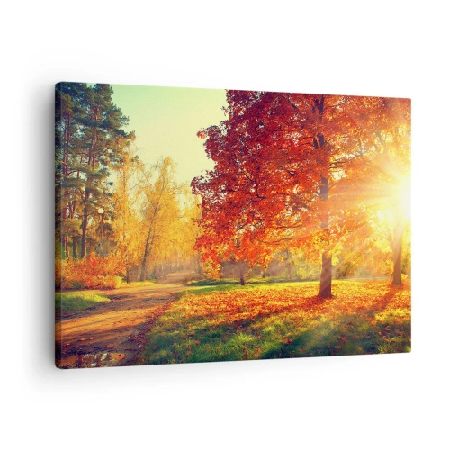 Bild auf Leinwand - Leinwandbild - Herbstpark im Sonnenlicht - 70x50cm - Unhöflich ist schön - Moderne Wanddekoration für Wohnzimmer und Schlafzimmer ARTTOR