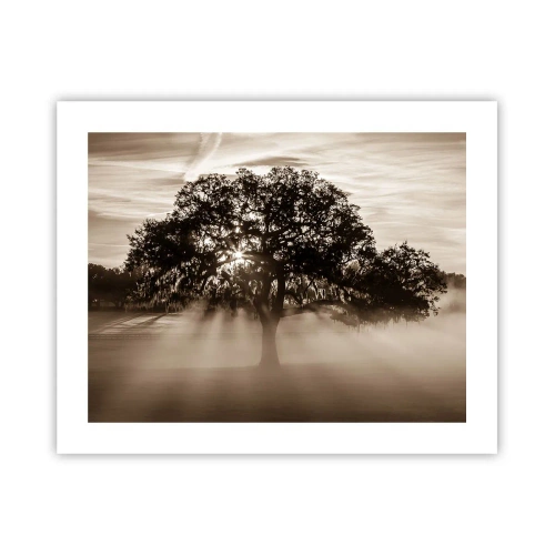 Poster - Baum der guten Nachrichten - 50x40 cm