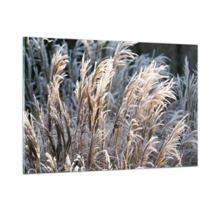 Glasbild - Bild auf glas - Gefrorene Gräser in der Wintersonne - 120x80cm - Gekleidet mit Frost - Moderne Wanddekoration für Wohnzimmer und Schlafzimmer ARTTOR