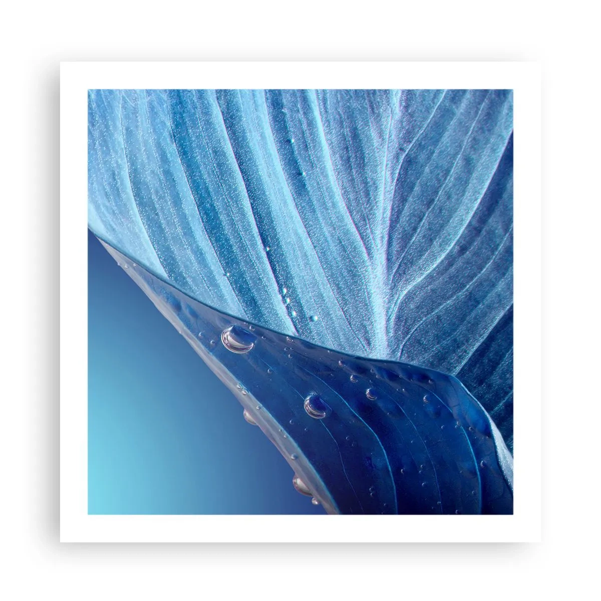 Poster - Versteckte Tropfen vom Blau - 60x60 cm
