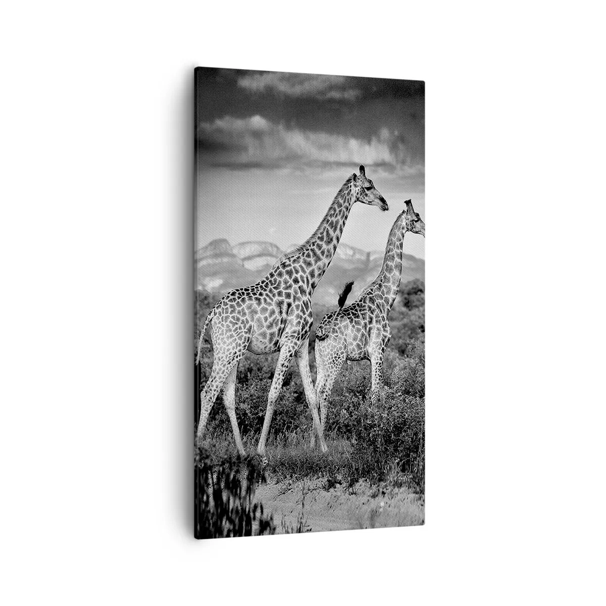 Bild auf Leinwand - Leinwandbild - Hohe Sphären in Afrika - 55x100 cm
