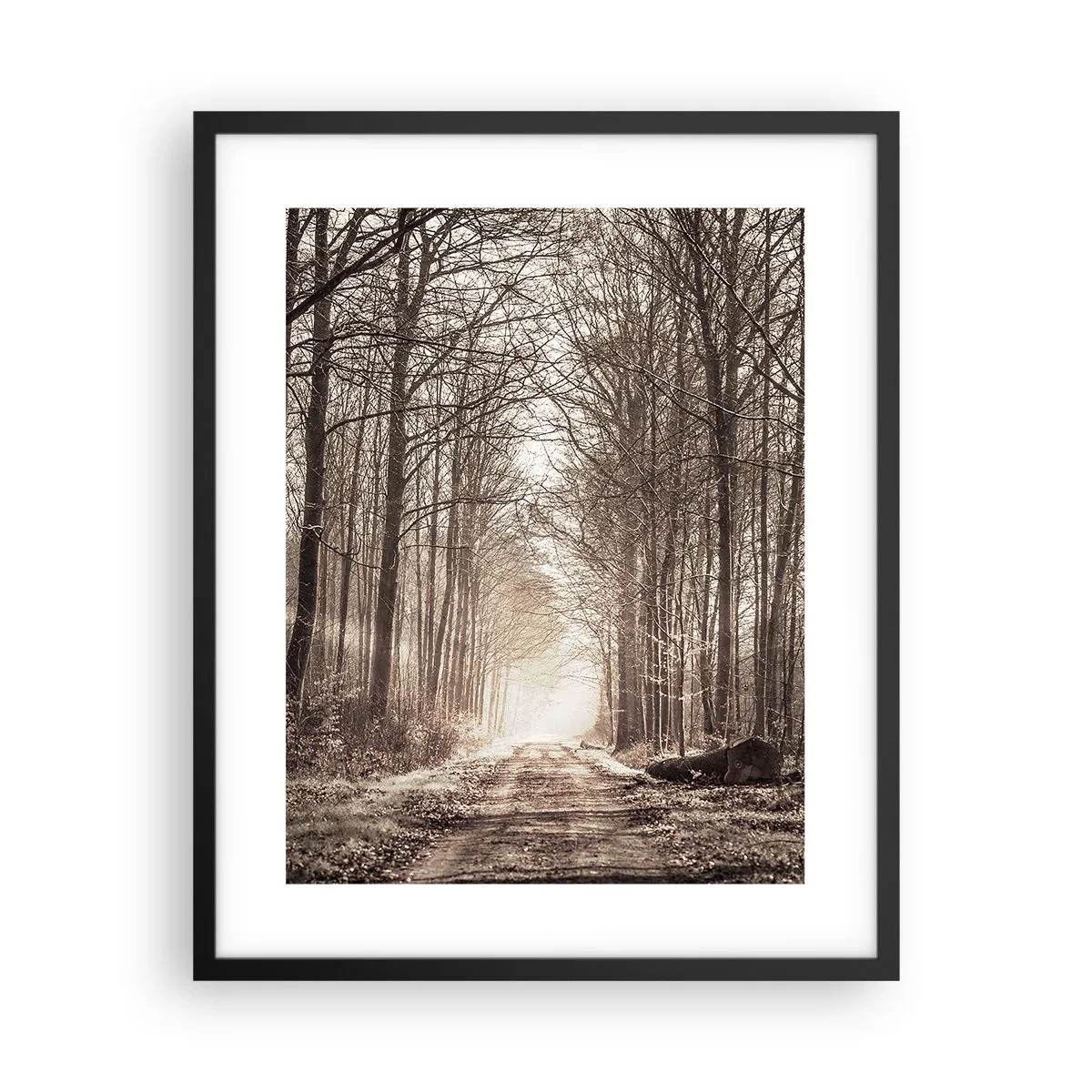 Poster in einem schwarzem Rahmen - Waldkathedrale - 40x50 cm