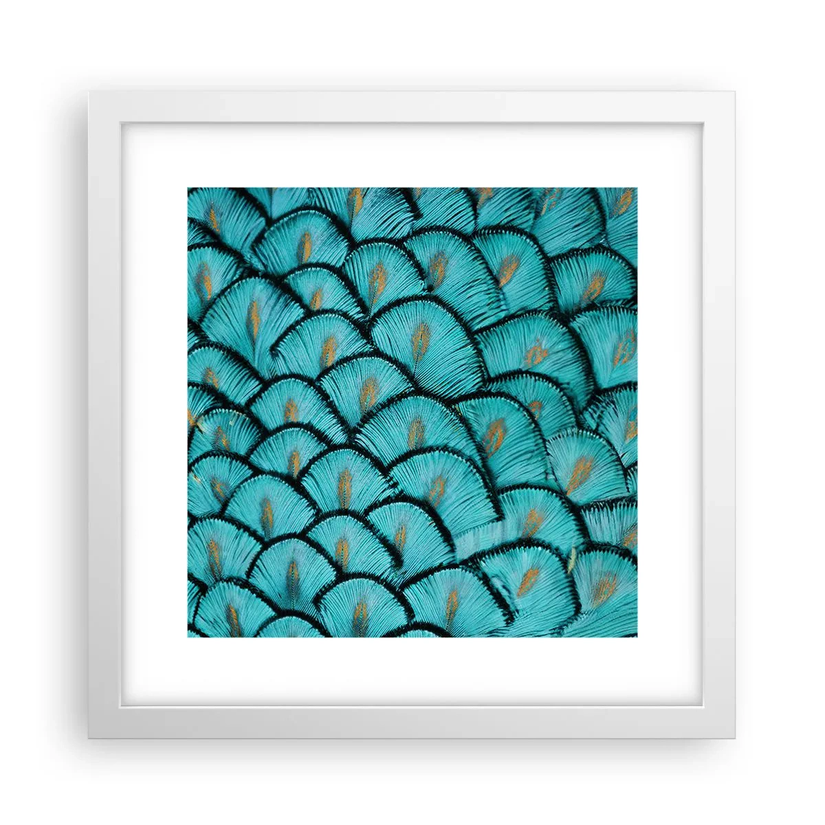 Poster in einem weißen Rahmen - Große Federgala - 30x30 cm