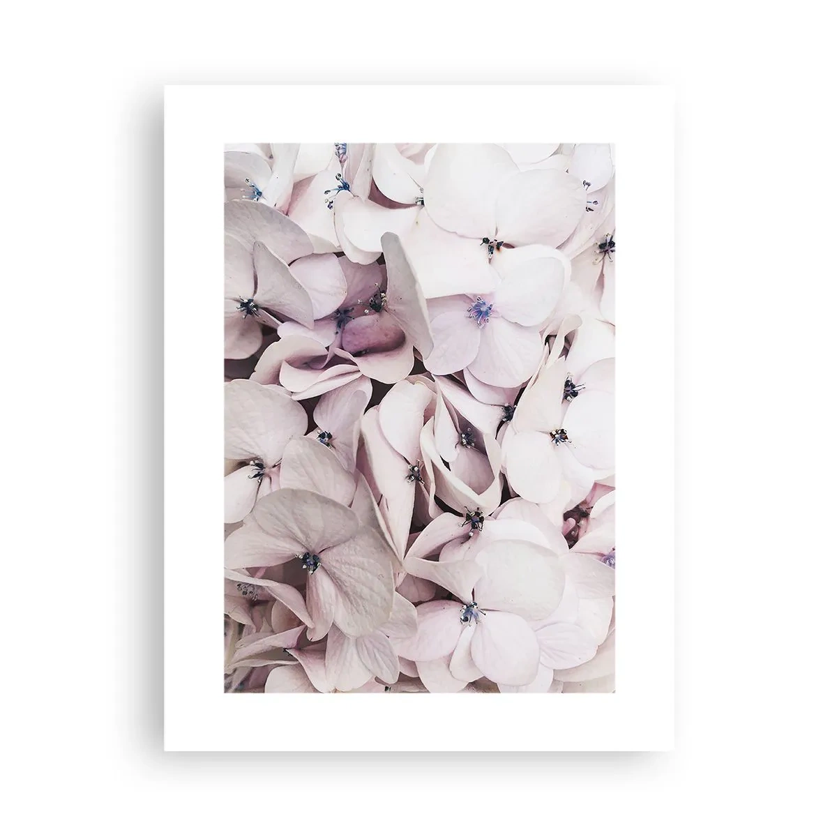 Poster - In einer Blumenflut - 30x40 cm