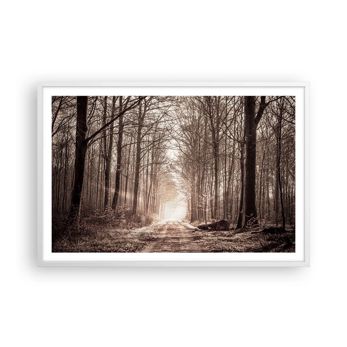 Poster in einem weißen Rahmen - Waldkathedrale - 91x61 cm