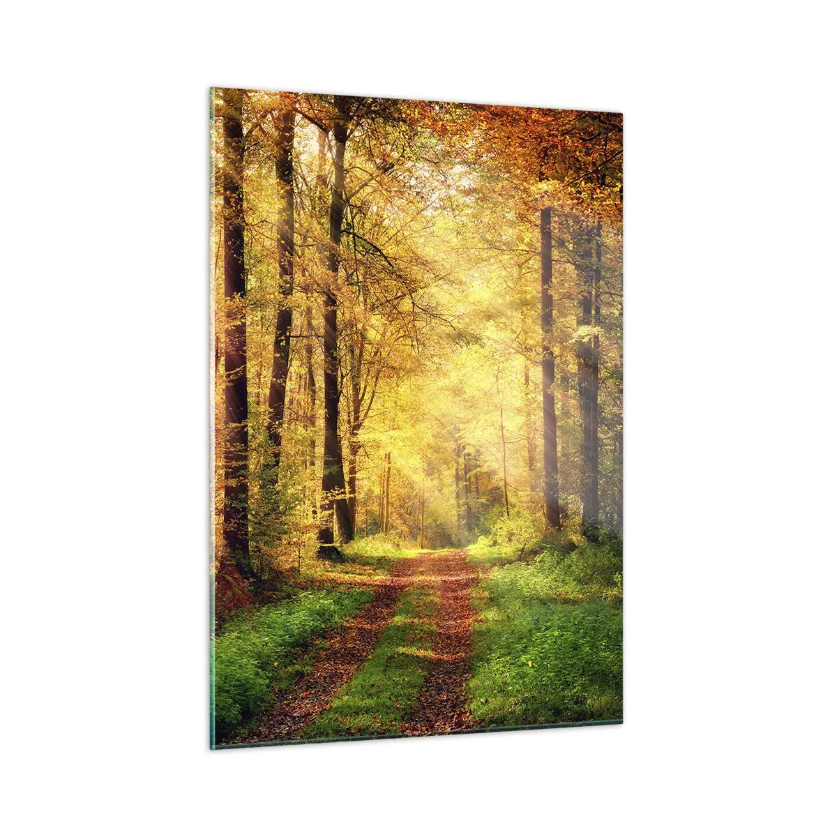 Glasbild - Bild auf glas - Herbstpfad im Wald mit Sonnenstrahlen - 50x70cm - Waldgoldene Stille - Moderne Wanddekoration für Wohnzimmer und Schlafzimmer ARTTOR