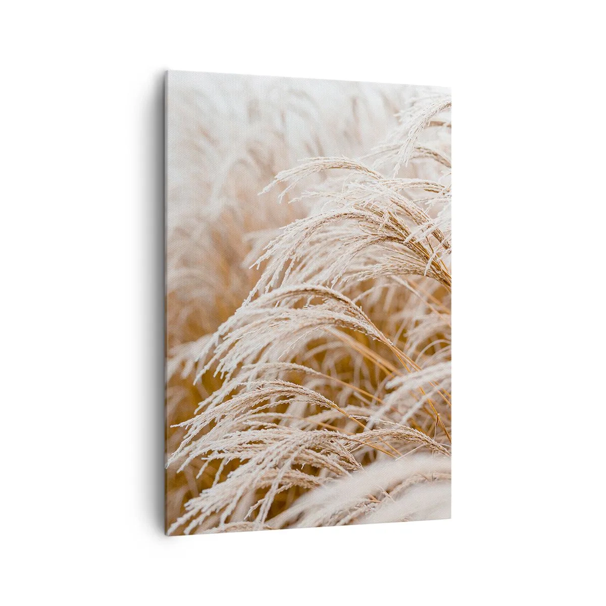 Bild auf Leinwand - Leinwandbild - Verbeuge dich vor der Herbstsonne - 70x100 cm