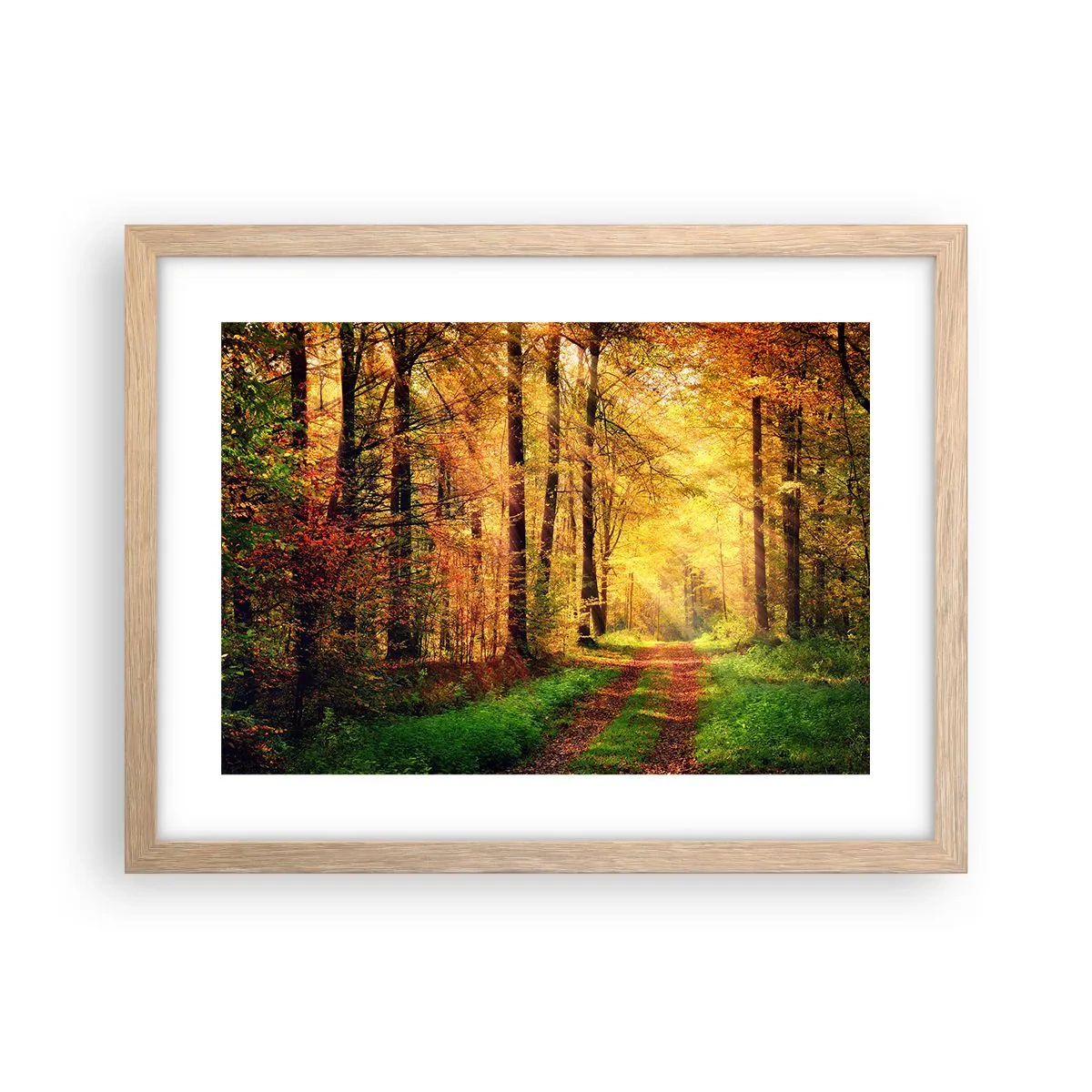 Poster in einem Rahmen aus heller Eiche - Waldgoldene Stille - 40x30 cm