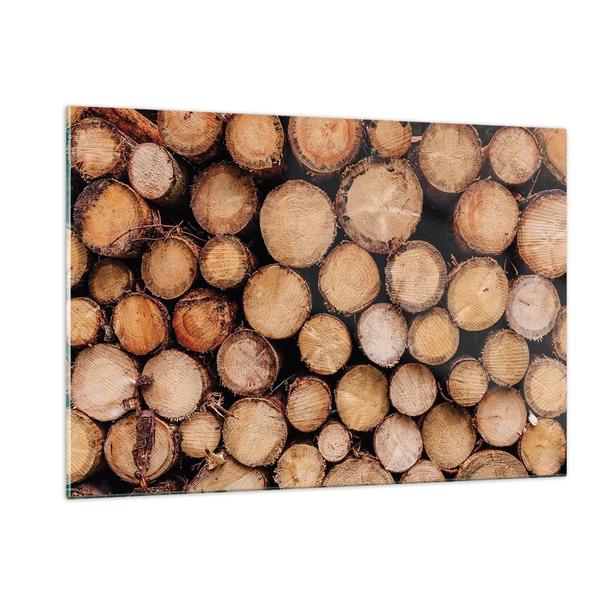 Glasbild - Bild auf glas - Vertikal angeordnete Baumstämme mit sichtbaren Jahresringen - 120x80cm - Ein neuer Anfang - Moderne Wanddekoration für Wohnzimmer und Schlafzimmer ARTTOR