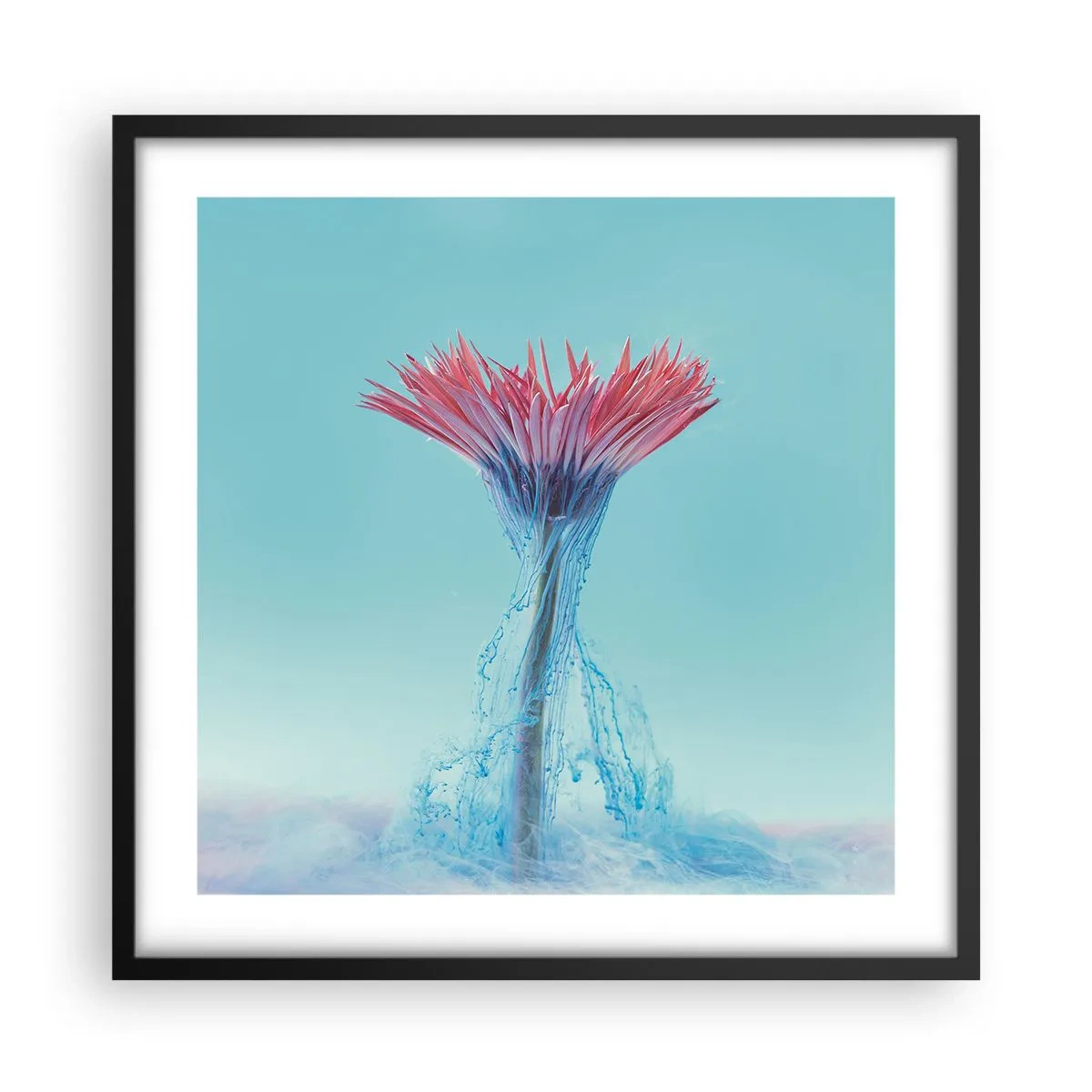 Poster in einem schwarzem Rahmen - In einer belebenden Umarmung - 50x50 cm