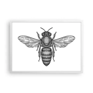 Poster in einem weißen Rahmen - Insektenporträt - 70x50 cm
