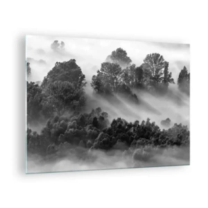 Glasbild - Bild auf glas - Nebliger Wald im Sonnenlicht in Schwarz und Weiß - 70x50cm - Aufstehend aus dem Schlaf - Moderne Wanddekoration für Wohnzimmer und Schlafzimmer ARTTOR