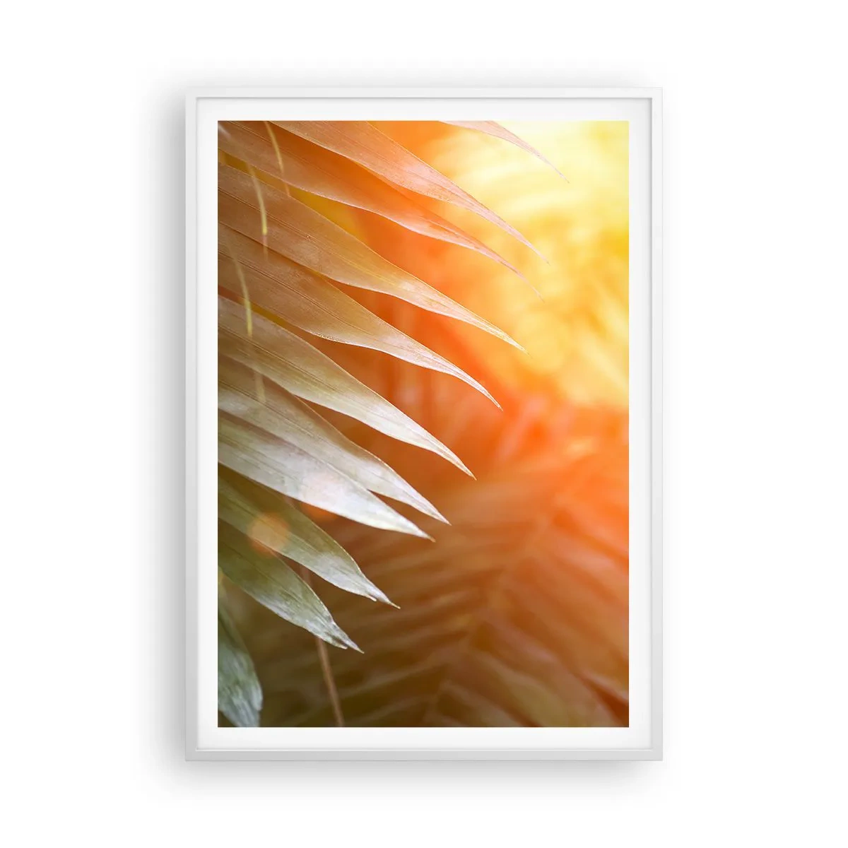 Poster in einem weißen Rahmen - Morgen im Dschungel - 70x100 cm