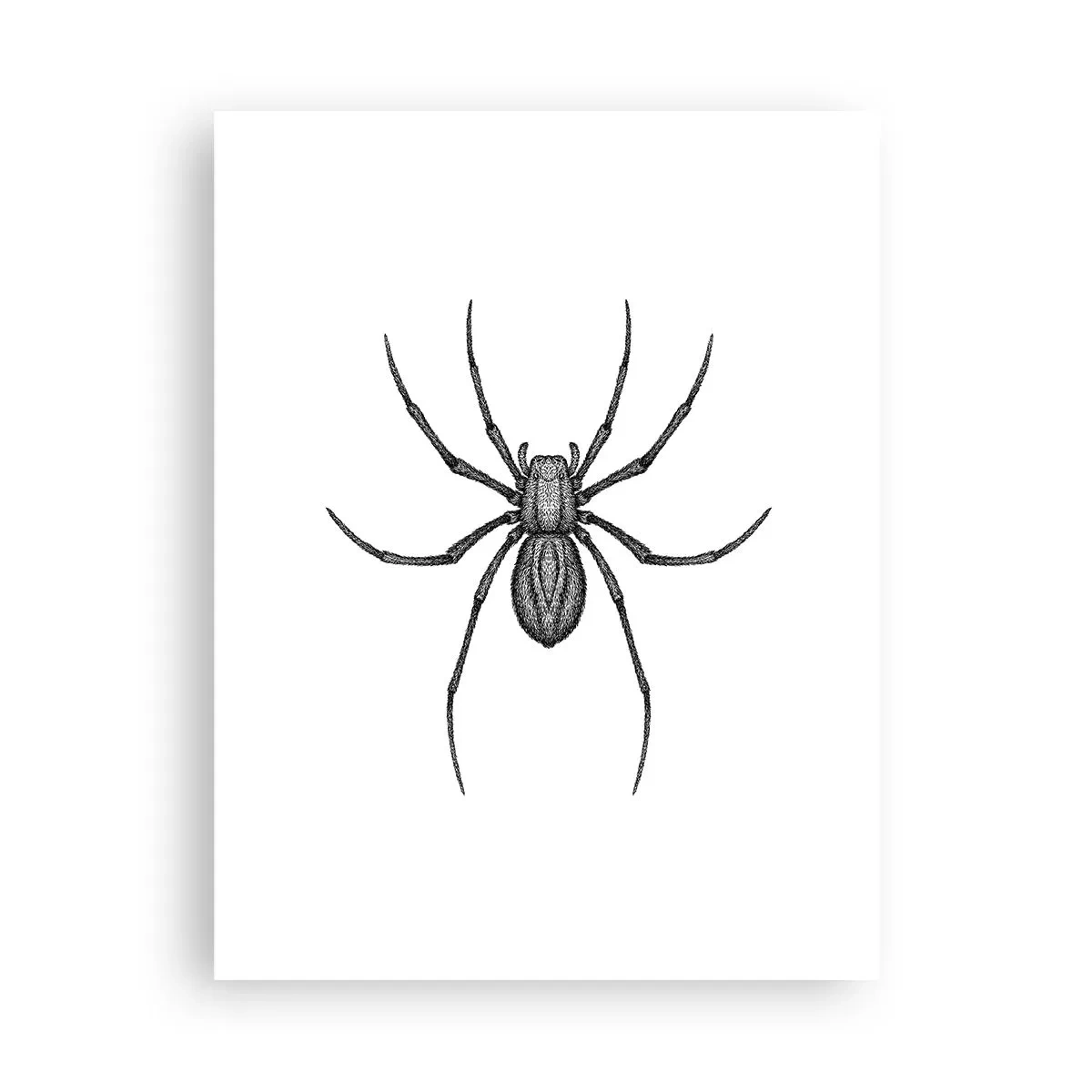 Poster - Beunruhigende Präzision - 30x40 cm