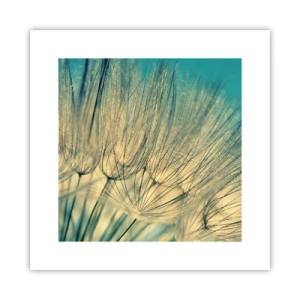 Poster - In Erwartung des Windes - 30x30 cm