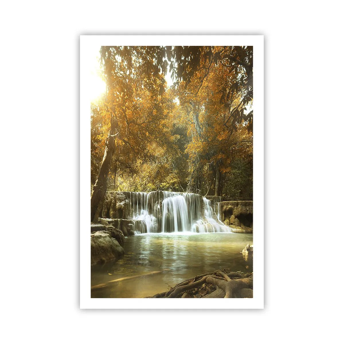 Poster - Parkkaskade - 61x91 cm