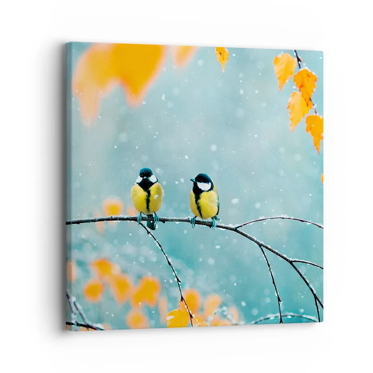 Bild auf Leinwand - Leinwandbild - Vogelklatsch - 30x30 cm
