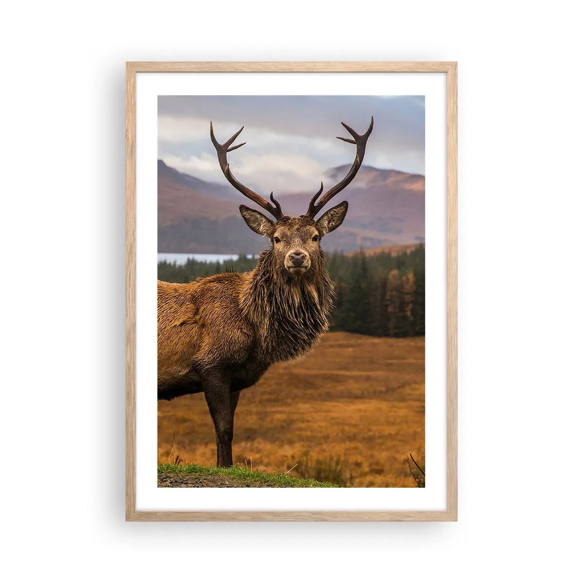 Poster in einem Rahmen aus heller Eiche - Die Majestät der Natur - 50x70 cm