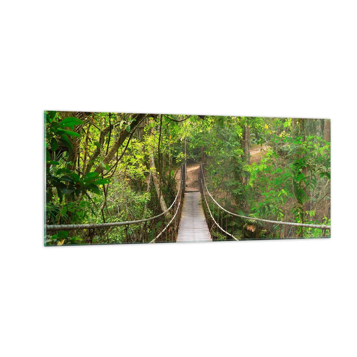 Glasbild - Bild auf glas - Denn im Garten gibt es eine Schlingpflanze - 100x40 cm