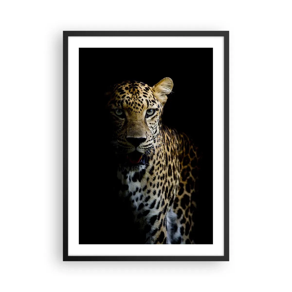 Poster in einem schwarzem Rahmen - Ein Leopard vor dunklem Hintergrund mit lebendigen Felldetails. - 50x70cm - Dunkle Schönheit - Moderne Wanddekoration für Wohnzimmer und Schlafzimmer ARTTOR