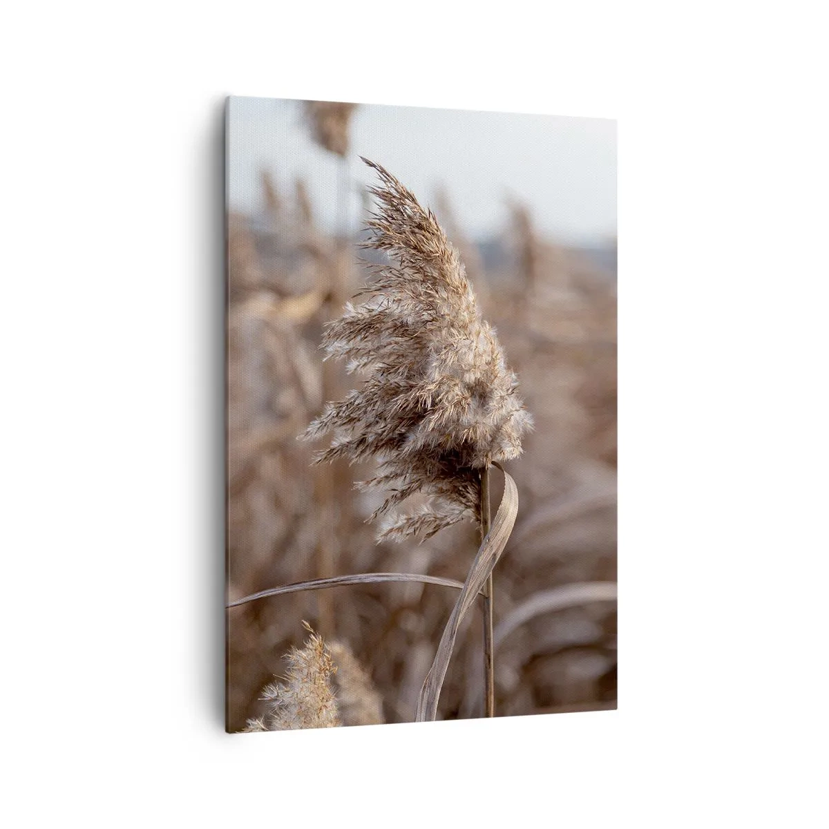 Bild auf Leinwand - Leinwandbild - Zarte Gräser in Beigetönen vor dem Hintergrund der Natur - 70x100cm - Zeit, mit dem Wind zu gehen - Moderne Wanddekoration für Wohnzimmer und Schlafzimmer ARTTOR