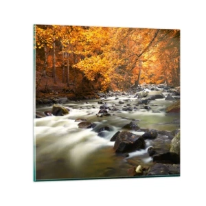 Glasbild - Bild auf glas - Ein Bach in einem goldenen Wald - 40x40 cm