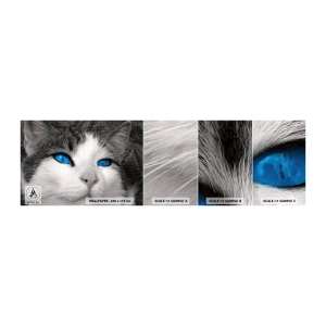 Fototapetenmuster Standard Eco - Ungewöhnlich blauäugig - Tiere, Katze, Blaue Augen - 100x30 cm
