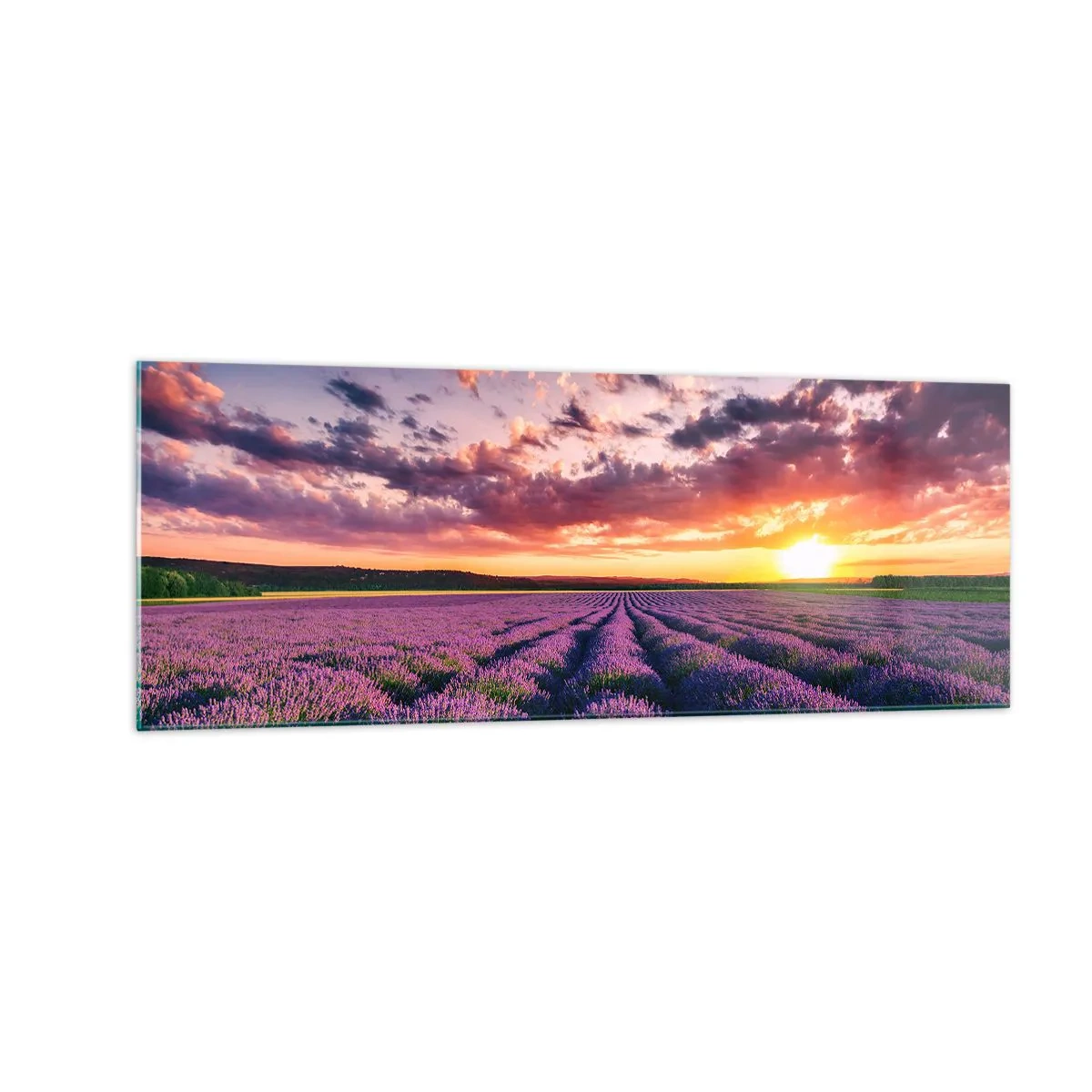 Glasbild - Bild auf glas - Ein Lavendelfeld bei Sonnenuntergang mit einem farbenfrohen Himmel - 140x50cm - Lavendel Welt - Moderne Wanddekoration für Wohnzimmer und Schlafzimmer ARTTOR