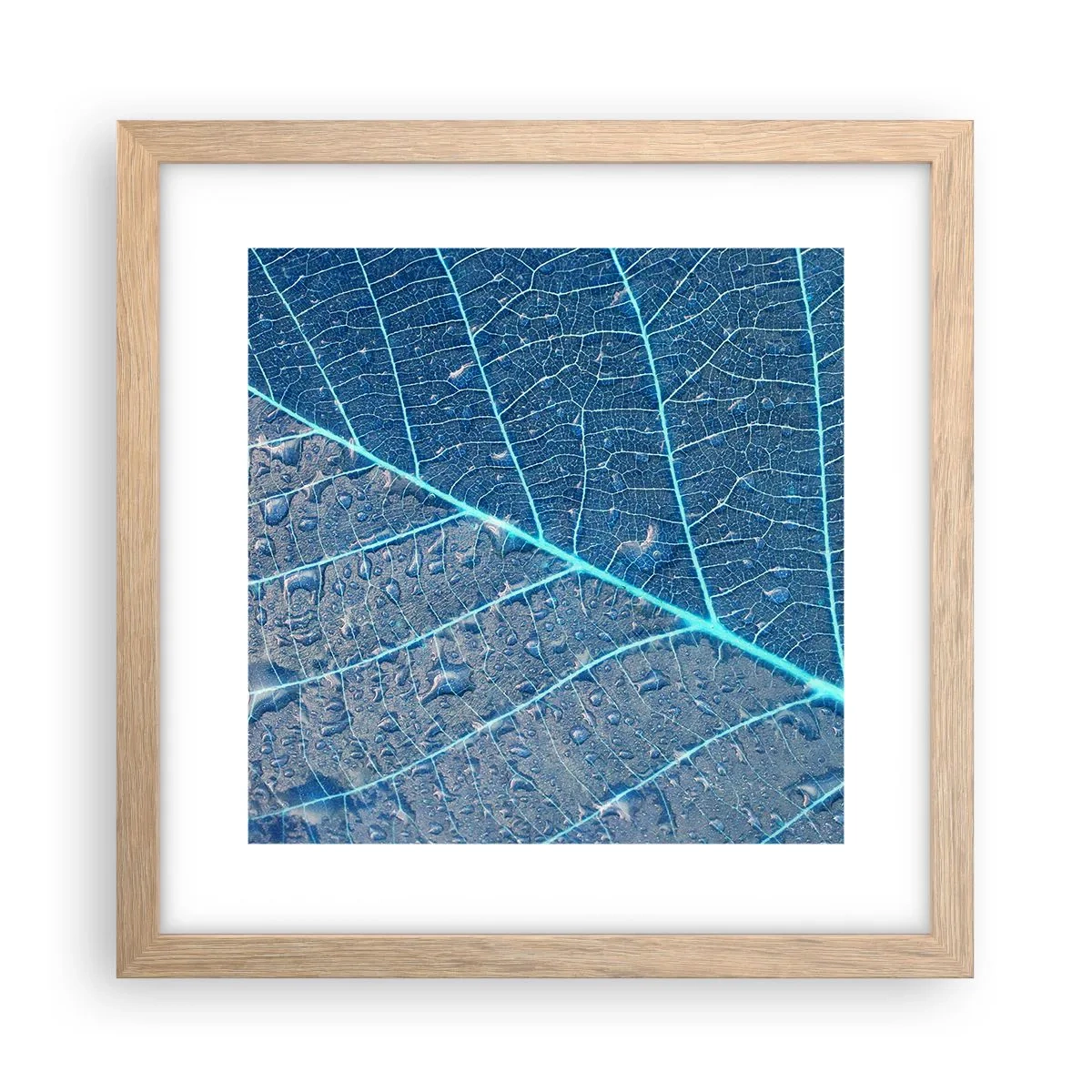Poster in einem Rahmen aus heller Eiche - Leben in Blau - 30x30 cm
