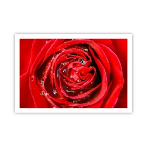 Poster - In den Tautropfen - 91x61 cm