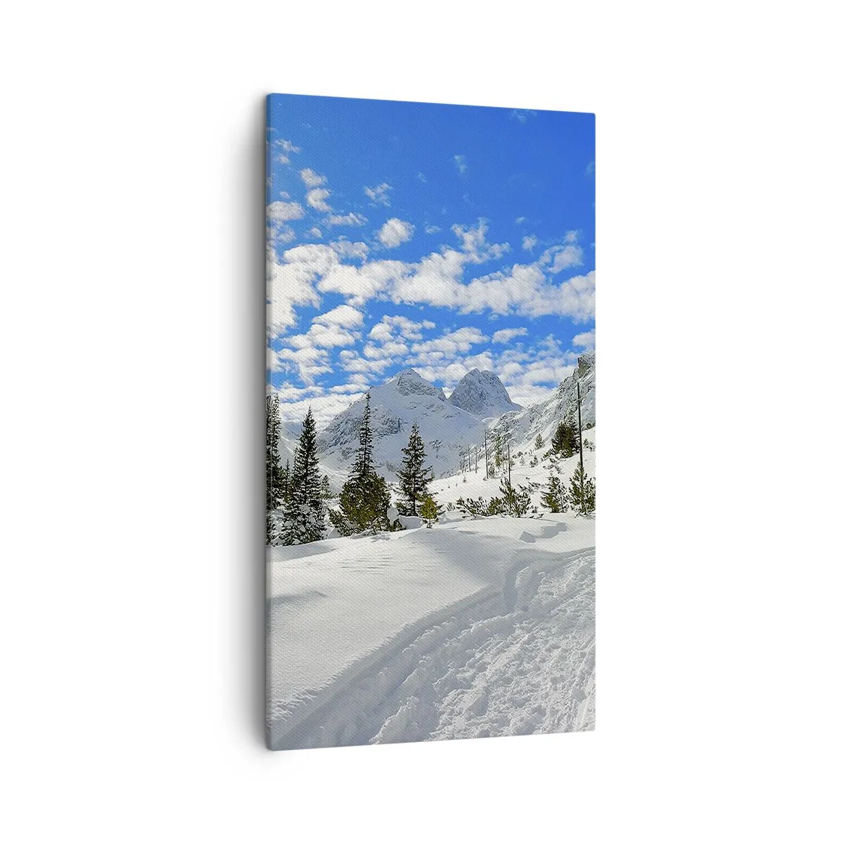 Bild auf Leinwand - Leinwandbild - Im Schnee und in der Sonne - 45x80 cm