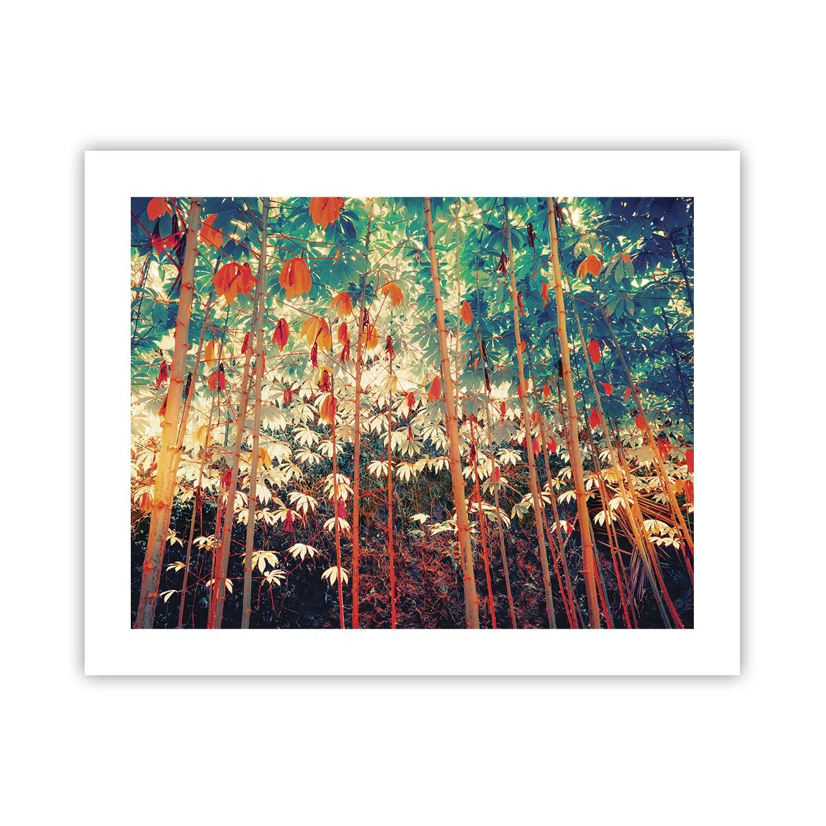 Poster - Das geheime Leben der Blätter - 50x40 cm