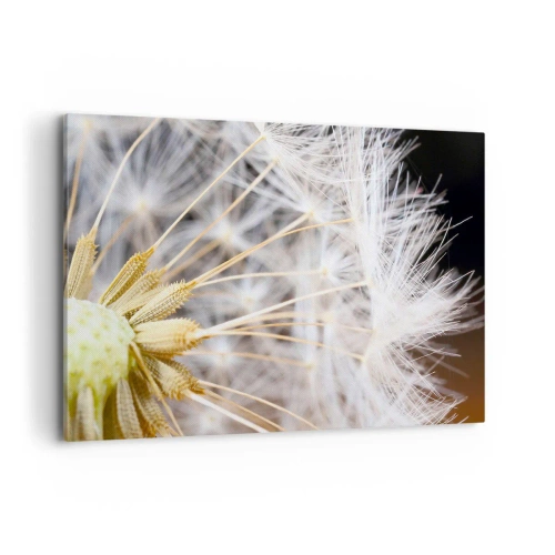 Bild auf Leinwand - Leinwandbild - Makrofotografie eines Löwenzahns mit zarten Samen - 100x70cm - Kurz vor dem Abflug - Moderne Wanddekoration für Wohnzimmer und Schlafzimmer ARTTOR