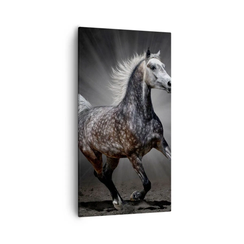 Bild auf Leinwand - Leinwandbild - Grau ist schön - 55x100 cm