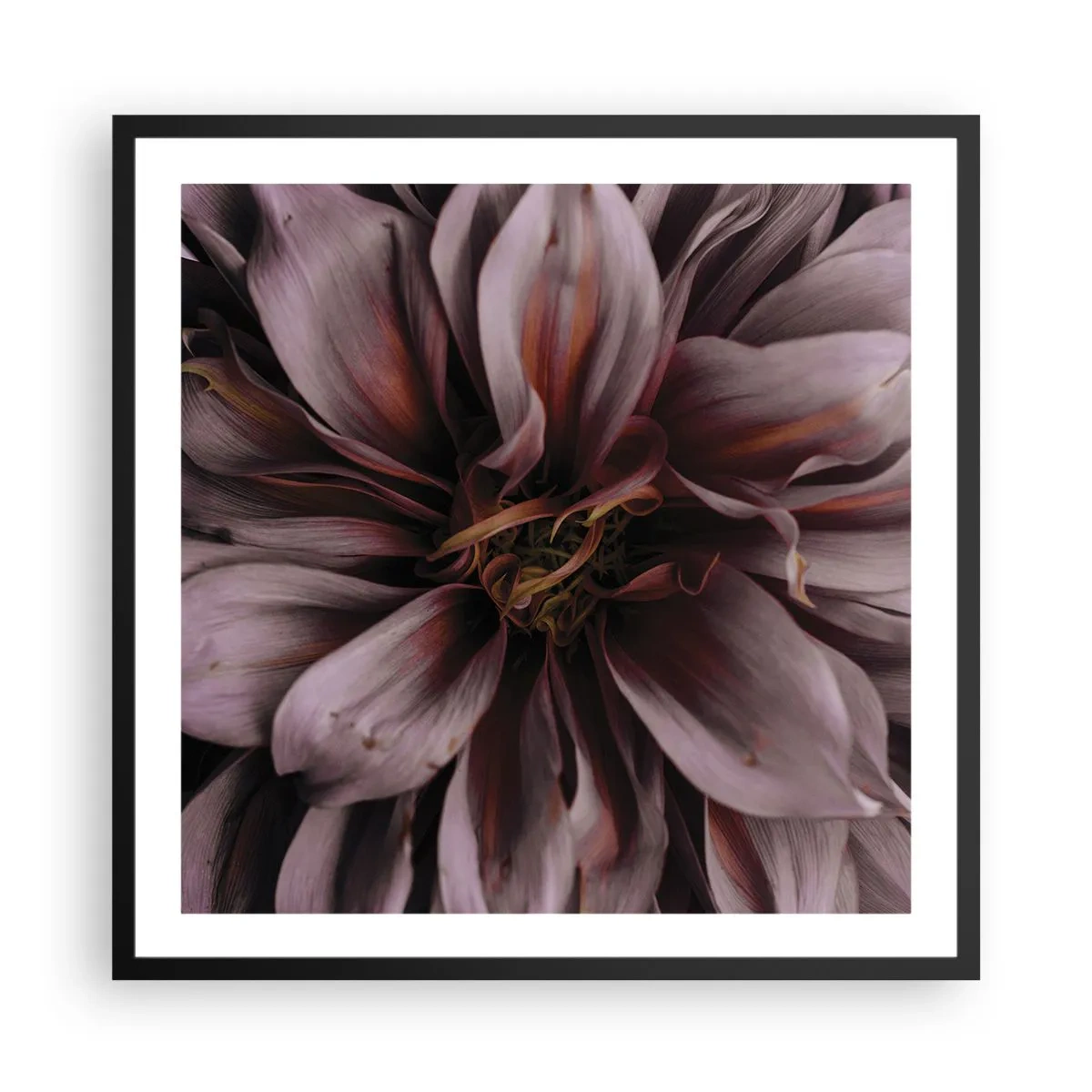 Poster in einem schwarzem Rahmen - Ein Blumenherz - 60x60 cm
