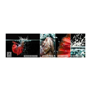 Fototapetenmuster Standard Eco - Du hast drei Wünsche - Abstraktion, Aquarium, Fisch - 100x30 cm