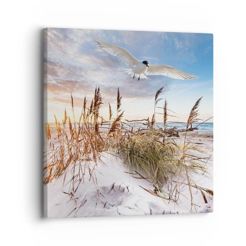 Bild auf Leinwand - Leinwandbild - Wind vom Meer - 30x30 cm