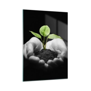 Glasbild - Bild auf glas - Eine junge Pflanze in den Händen vor schwarzem Hintergrund - 50x70cm - Ich liebe die Natur, ich beschütze sie - Moderne Wanddekoration für Wohnzimmer und Schlafzimmer ARTTOR