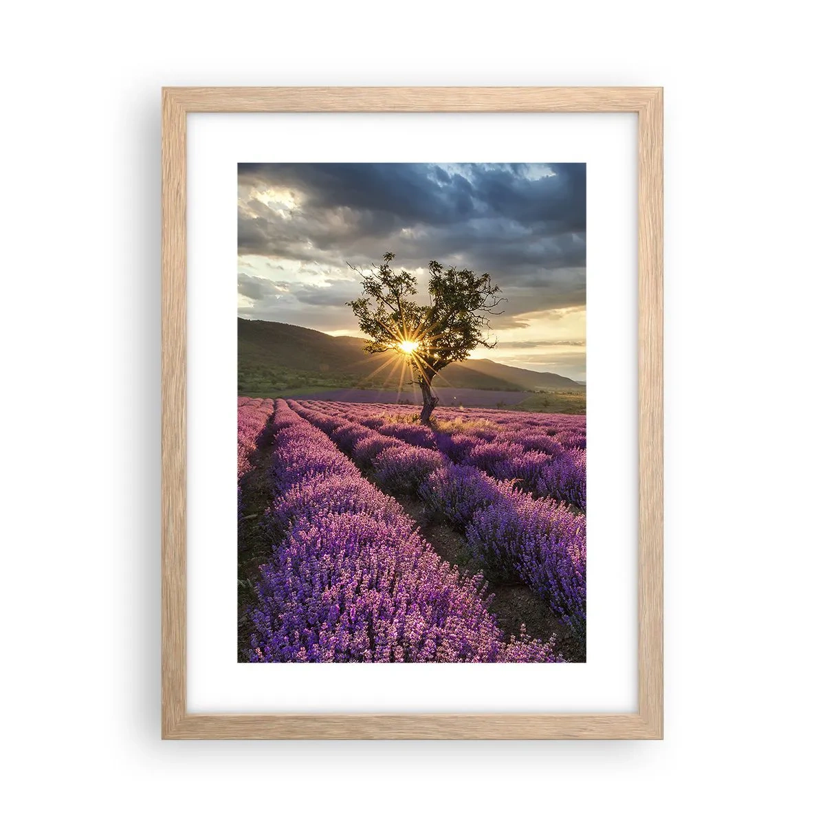 Poster in einem Rahmen aus heller Eiche - Fliederfarbenes Aroma - 30x40 cm