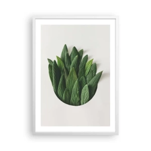 Poster in einem weißen Rahmen - Ungebremste Neugier - 50x70 cm