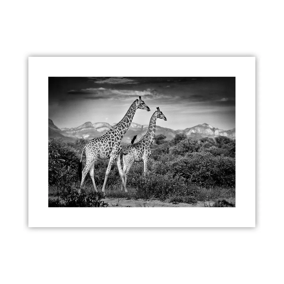 Poster - Hohe Sphären in Afrika - 40x30 cm