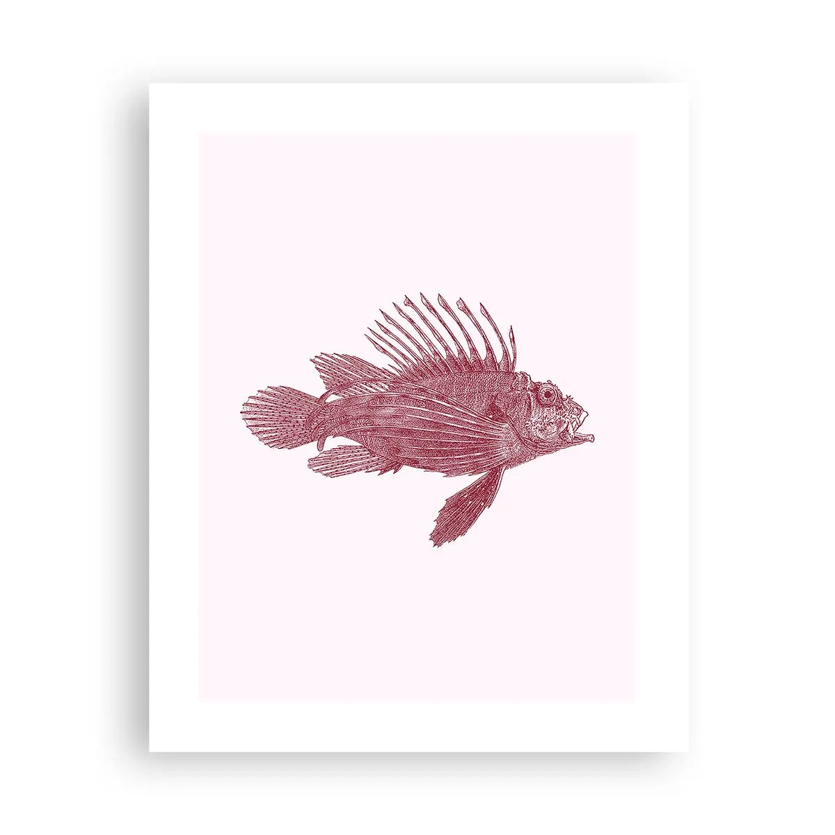 Poster - Bewohner exotischer Gewässer - 40x50 cm