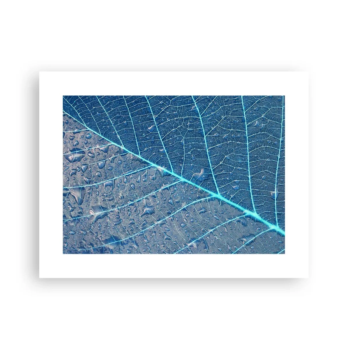 Poster - Leben in Blau - 40x30 cm