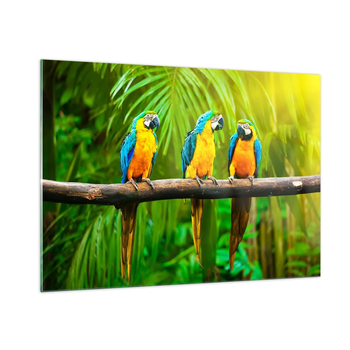 Glasbild - Bild auf glas - Drei Ara-Papageien auf einem Ast in einem tropischen Wald - 100x70cm - Und hast du gehört, dass sie ...? - Moderne Wanddekoration für Wohnzimmer und Schlafzimmer ARTTOR