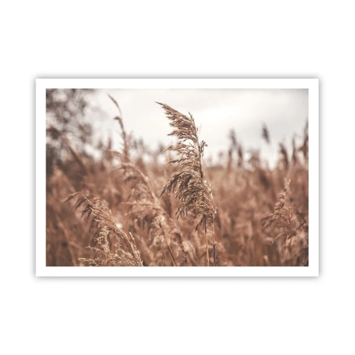 Poster - Goldene Gräser vor dem Hintergrund der Herbstlandschaft - 100x70cm - Auf den Feldern ist es schon Herbst - Moderne Wanddekoration für Wohnzimmer und Schlafzimmer ARTTOR