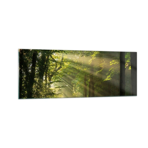 Glasbild - Bild auf glas - Waldweg mit Sonnenstrahlen, die durch die Bäume scheinen - 140x50cm - Waldmoment - Moderne Wanddekoration für Wohnzimmer und Schlafzimmer ARTTOR