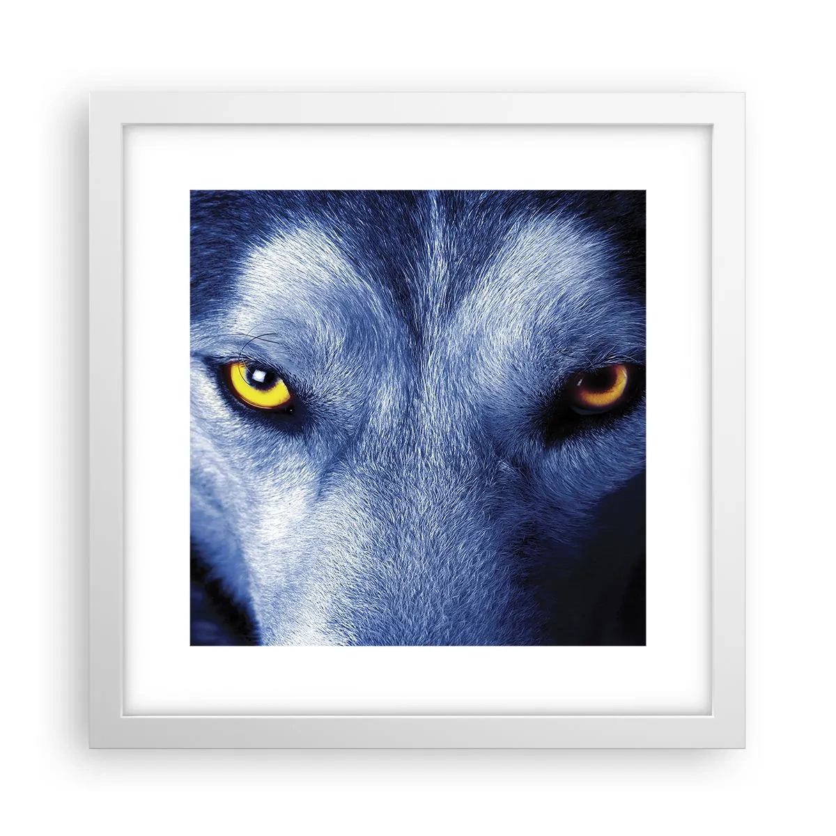 Poster in einem weißen Rahmen - Faszinierender Blick - 30x30 cm