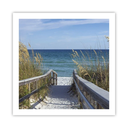 Poster - In der Sonne, im Wind - 60x60 cm