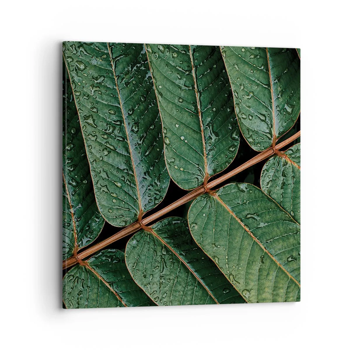 Bild auf Leinwand - Leinwandbild - Im grünen Rhythmus - 70x70 cm
