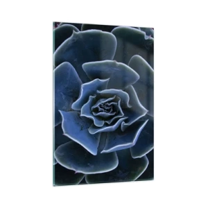 Glasbild - Bild auf glas - Nahaufnahme einer grünen Sukkulentenrosette - 80x120cm - Wüstenblume - Moderne Wanddekoration für Wohnzimmer und Schlafzimmer ARTTOR